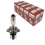 H4 Halogen Bulbs