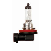 708%20Bulb%20Image%20Medium.jpg