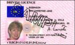 UK Driving Licence (Sample)