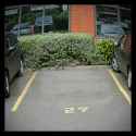 Reversing Camera View