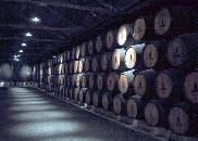 Port cellar in Portugal