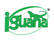 Iguana