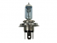 H4 ABD 12V 60/55W Xenon Extreme White Bulbs (Pair)