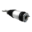 VEMO TESLA Air Suspension Strut V58-50-0004