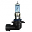 H10 Ring Standard Replacement 12V 42W Halogen Bulb