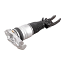 VEMO VW Air Suspension Strut V10-50-0001