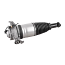 VEMO VW Air Suspension Strut V10-50-0007