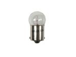 207S 5W Replacement Bulb