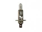 H1 466 24V 70W P14.5S Halogen