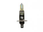 H1 Rally All Weather 12V 100W 448 Halogen Bulbs (Pair)